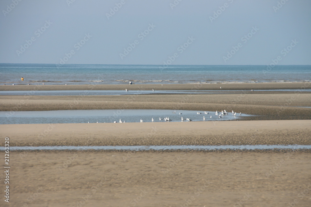 plage de la mer du nord