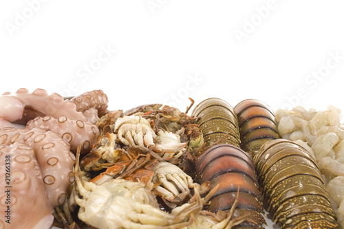 Sea Fruits photo