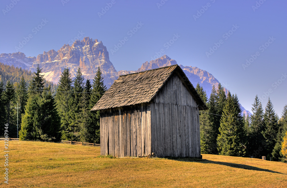 Obraz premium Small, wooden storehouse