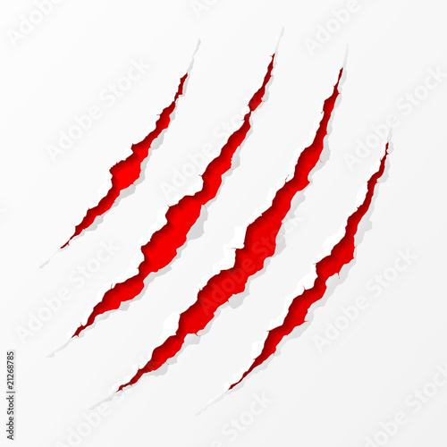 Claws scratches. Easy editable vector illustration. photo