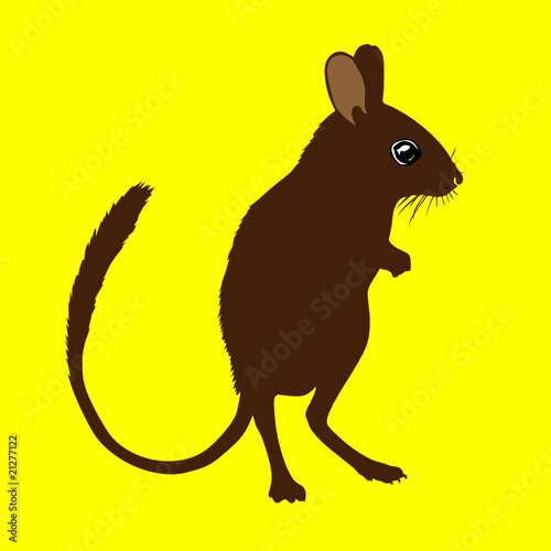 mouse standing