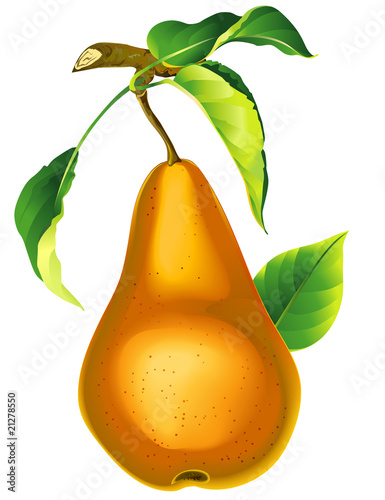 Pear