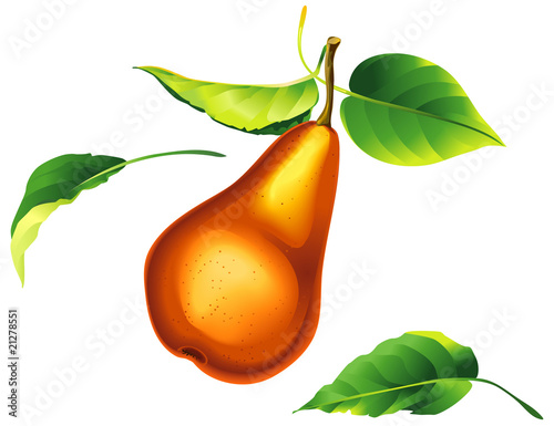 Pear with leaf
