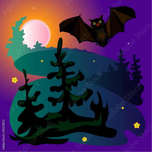 Night halloween bat