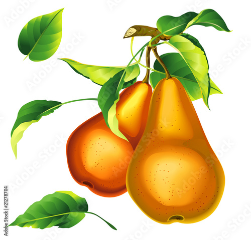 Pears