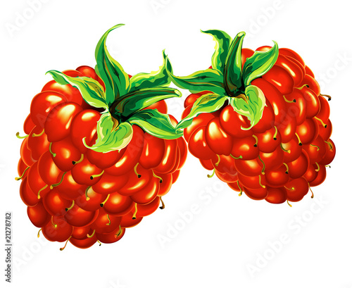raspberry