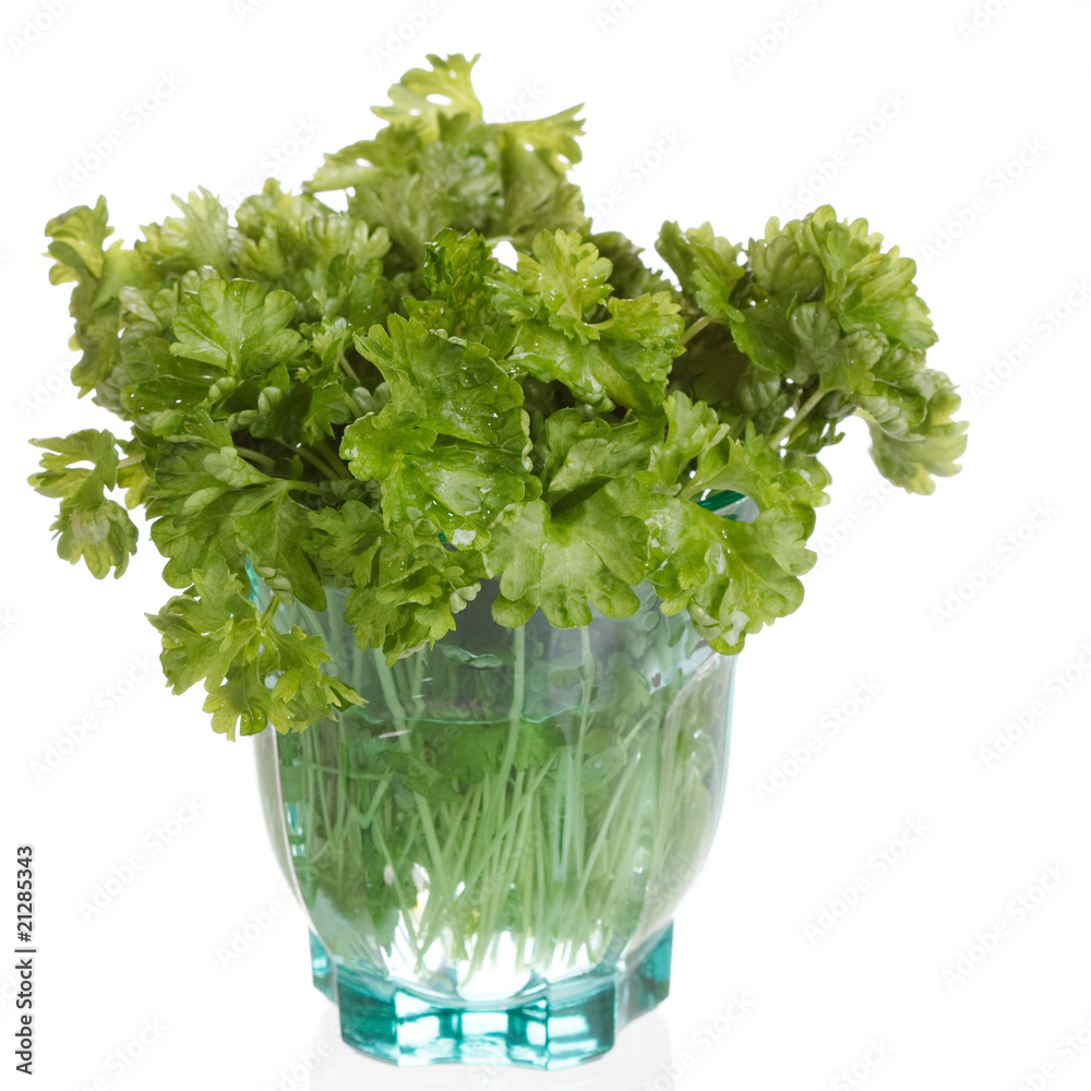 fresh parsley. fresh parsley.