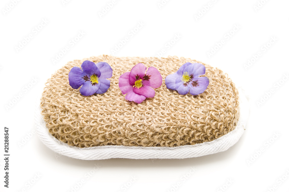Schwamm mit Blüten Schwamm mit Blüten