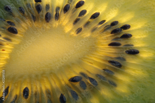 kiwi seeds