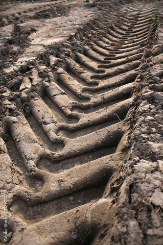 Car tracks on the ground
