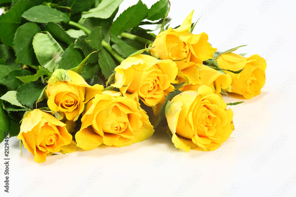 Gelbe Rosen Gelbe Rosen