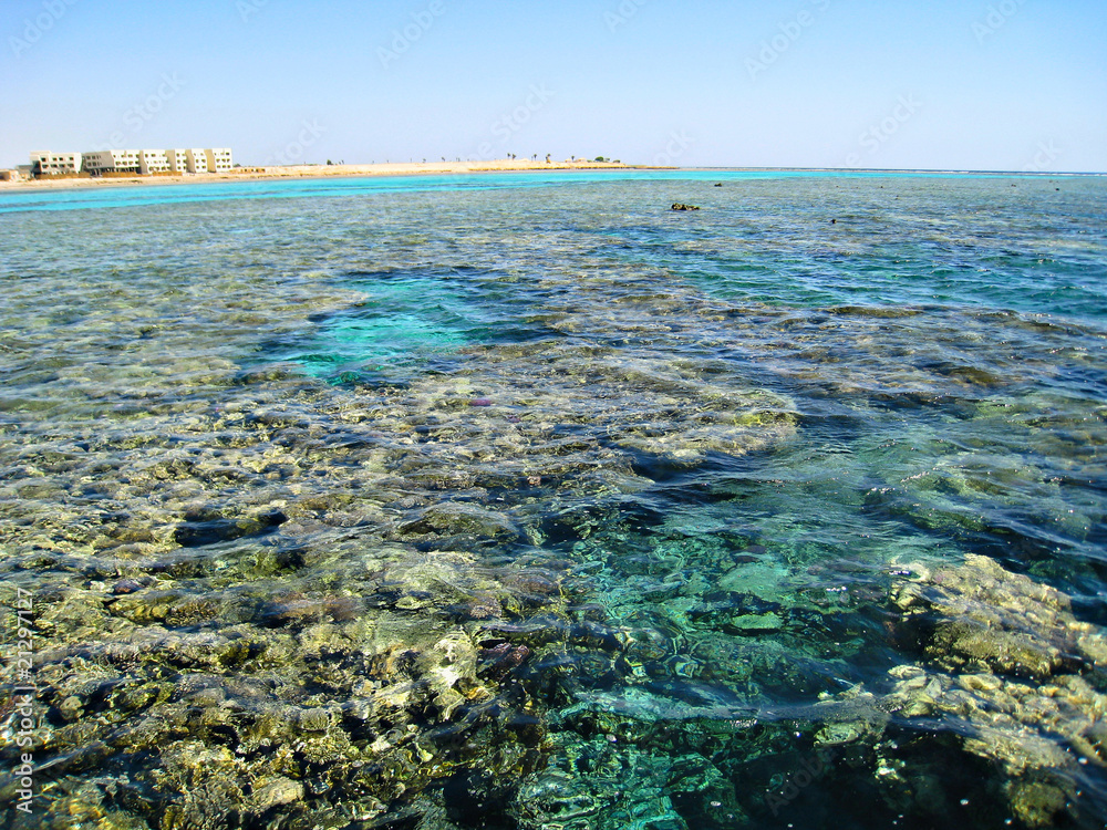 Obraz premium sea