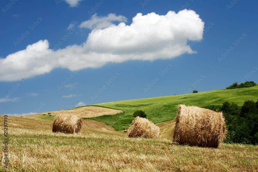 Hay bales over the hillside Hay bales over the hillside