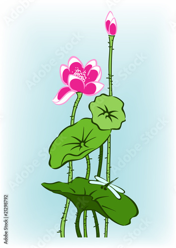 pink lotus