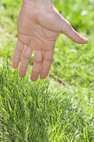 mano che sfiora l'erba verde © Danilo Palomba