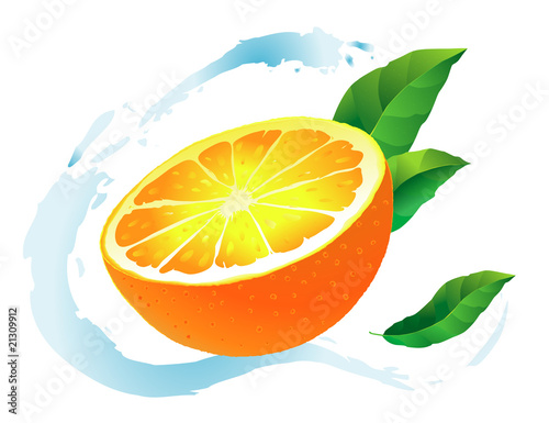Orange juicy slice