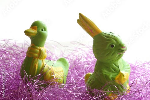 Fotografie cane et lapin