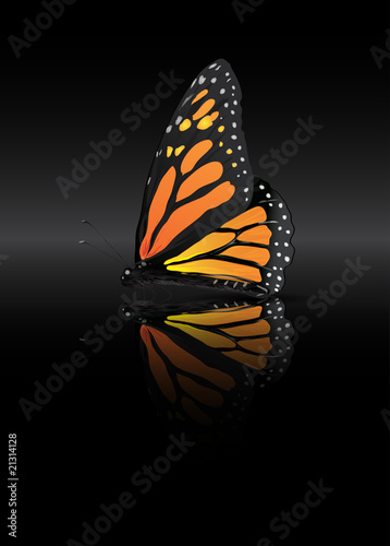 Mariposa Monarca