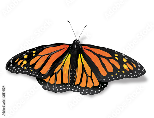 Mariposa Monarca