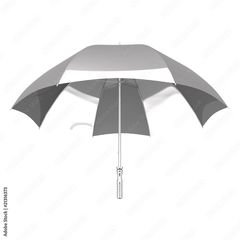 Obraz premium Silver Umbrella