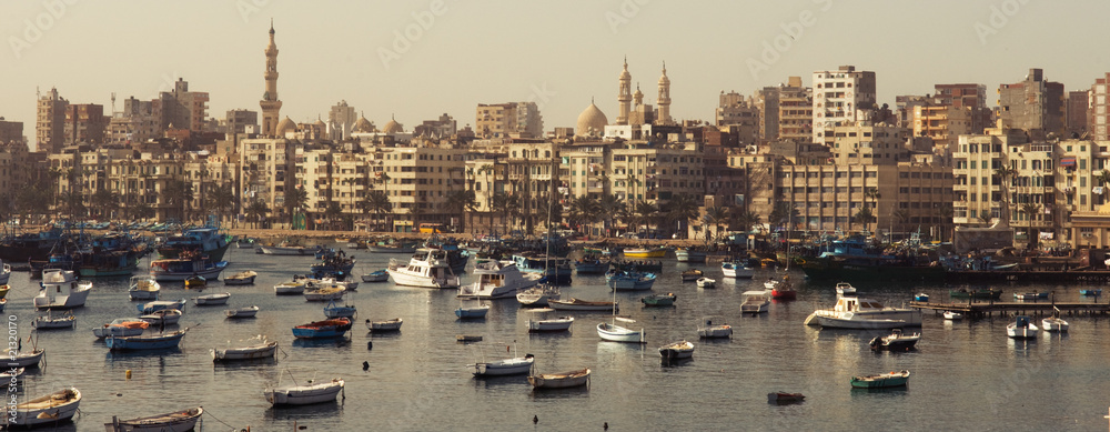 Fototapeta premium Alexandria