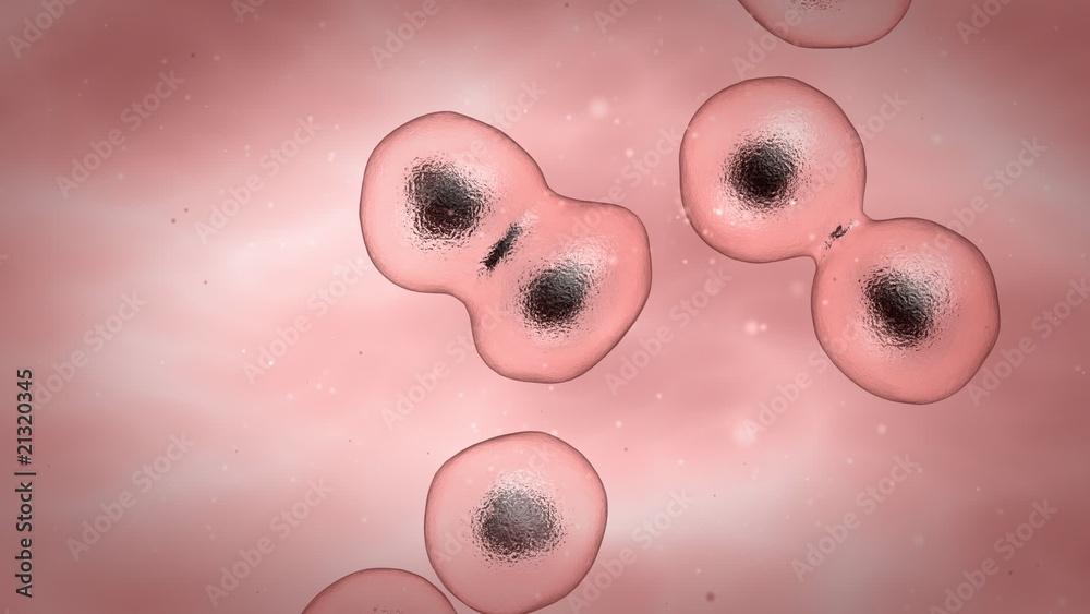 Human cell multiplied