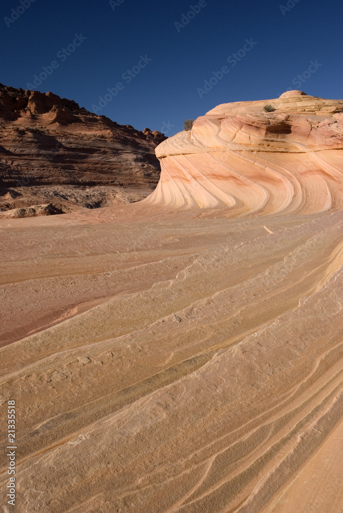 Fototapeta premium The Wave, Paria canyon