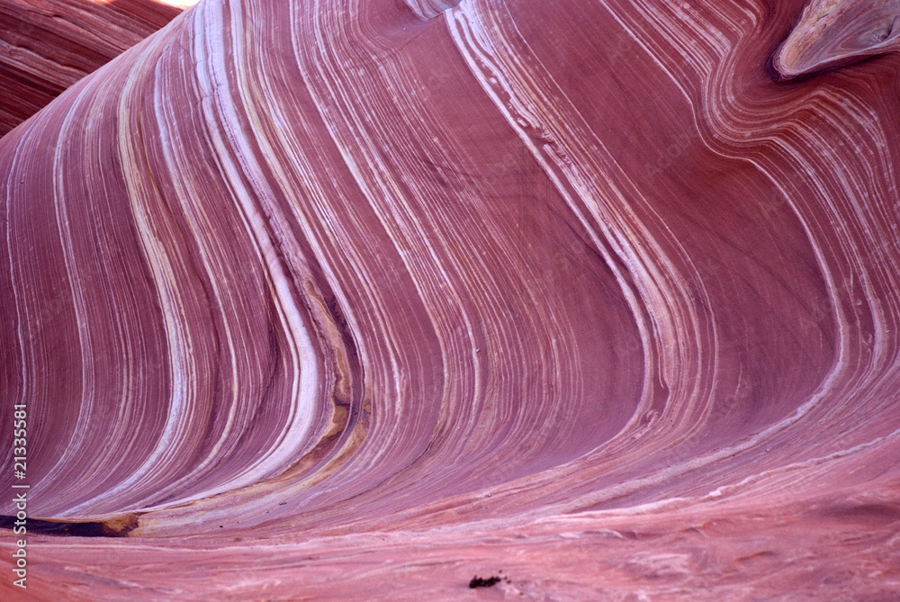 Obraz premium The Wave, Paria canyon