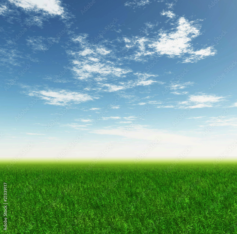 Green grass, the blue sky and white clouds Green grass, the blue sky and white clouds
