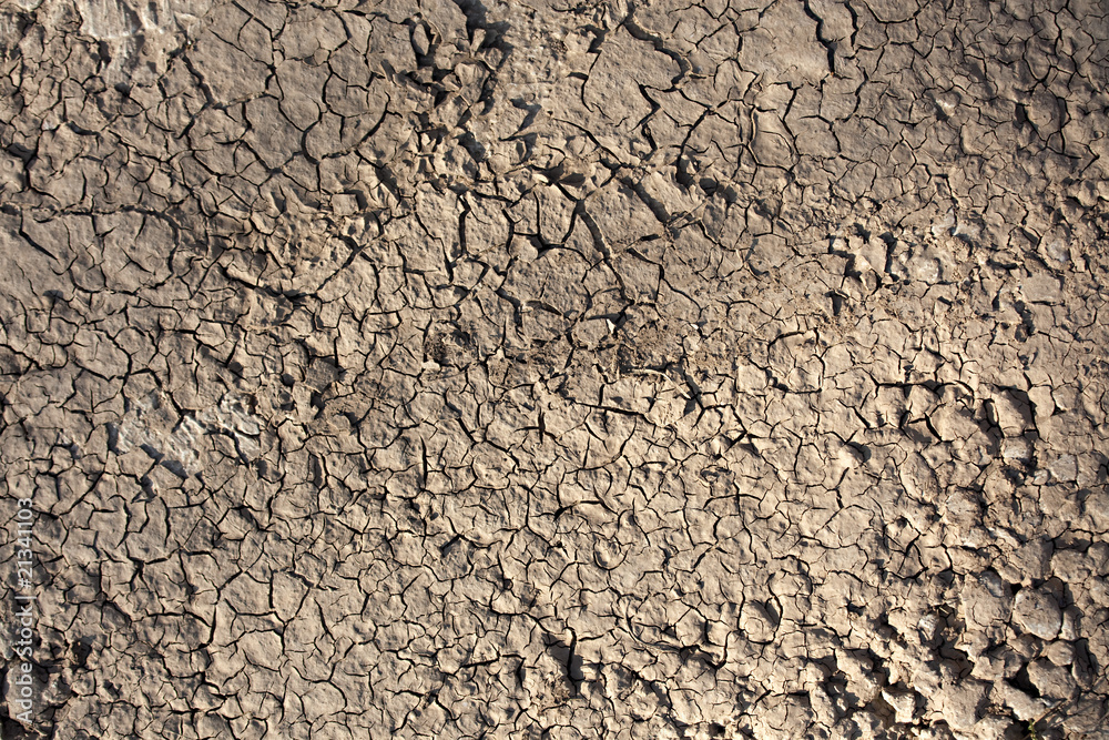 dry soil texture background dry soil texture background