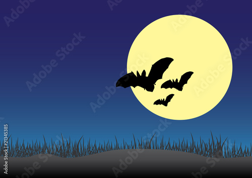 Scary night background