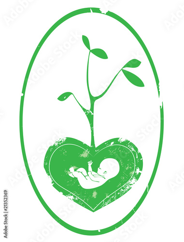 niño verde