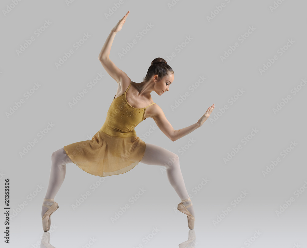 Fototapeta premium Beautiful ballet
