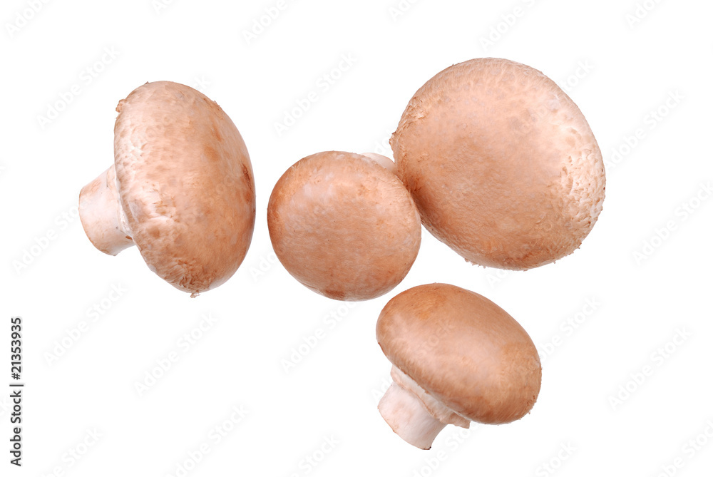 Fresh mushrooms isolated on white Fresh mushrooms isolated on white