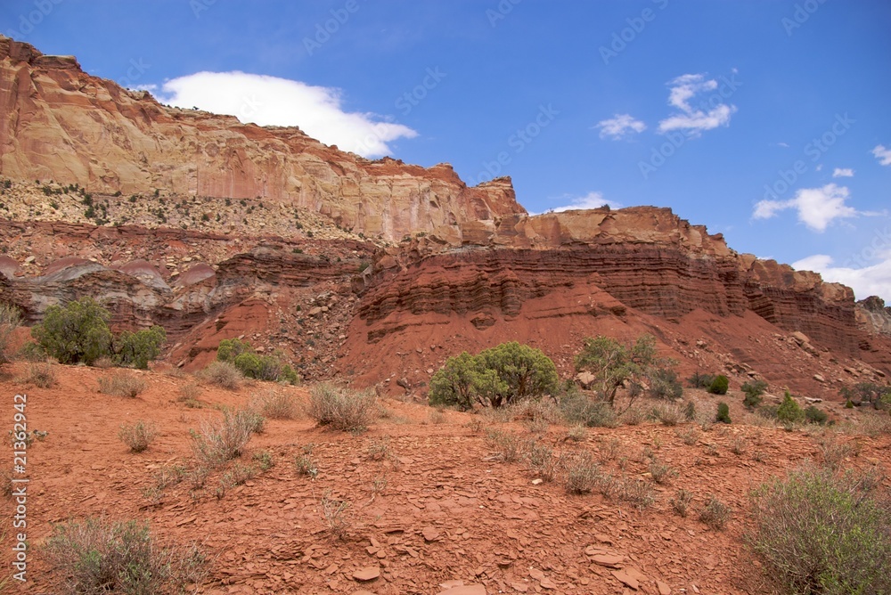Coloured layers of rock, Capitol Reef National Park