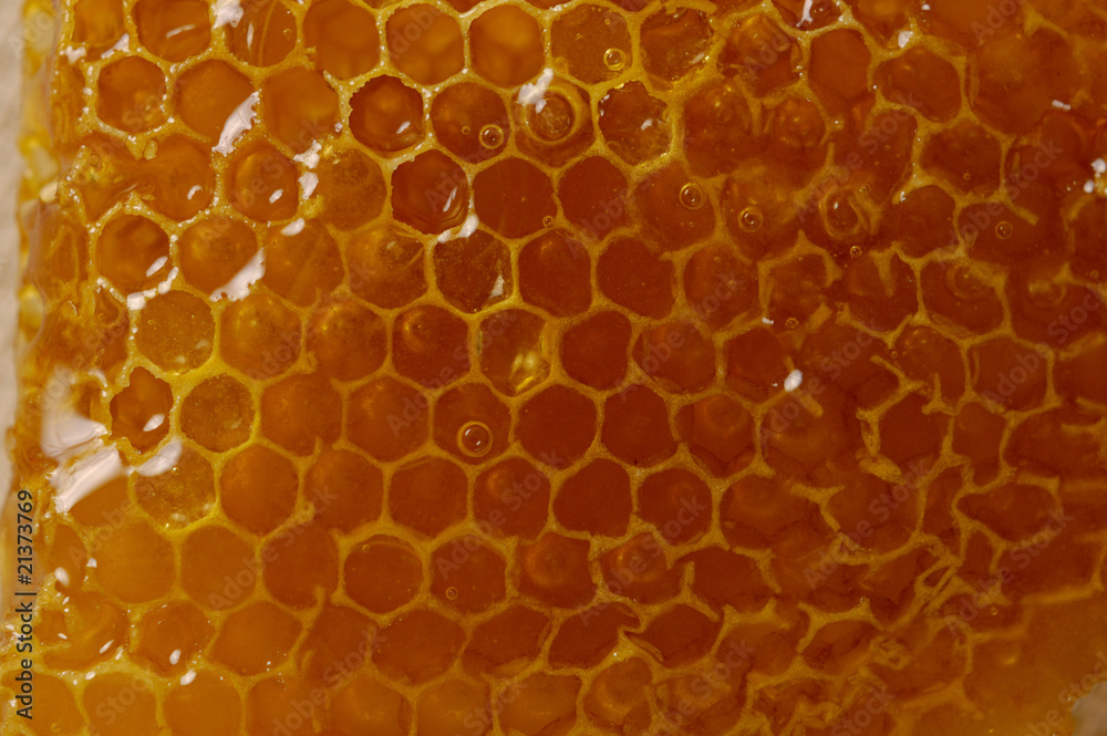 Honeycomb Texture Honeycomb Texture