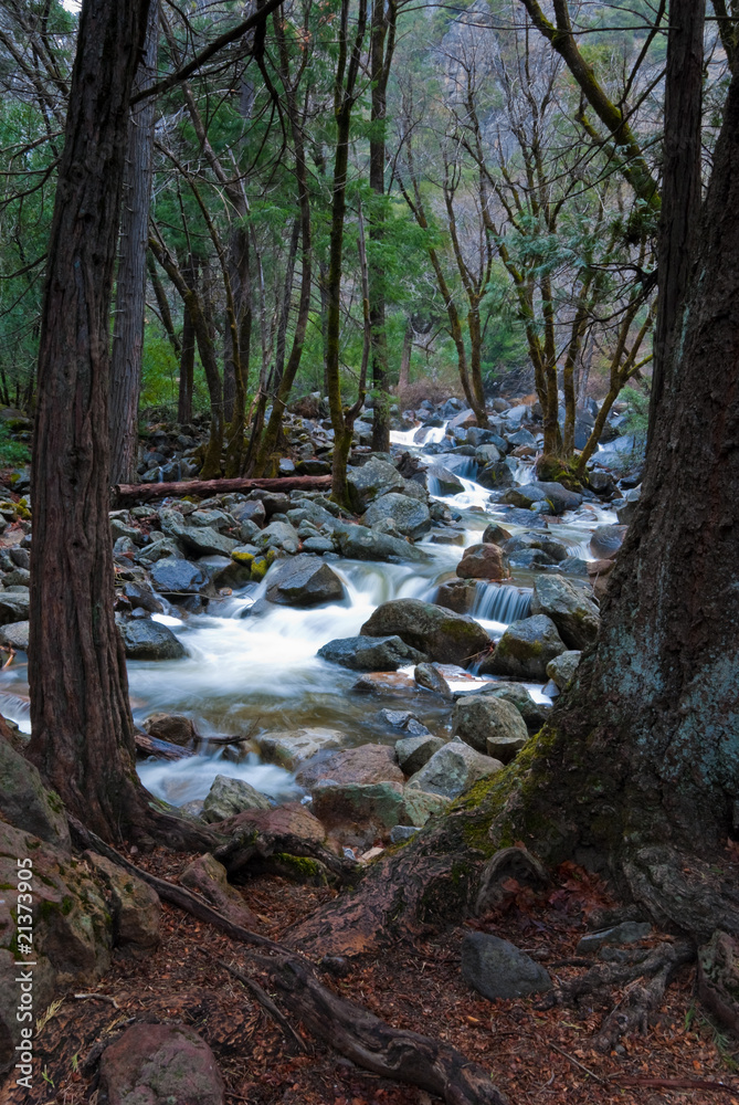 Water stream - Yosemite