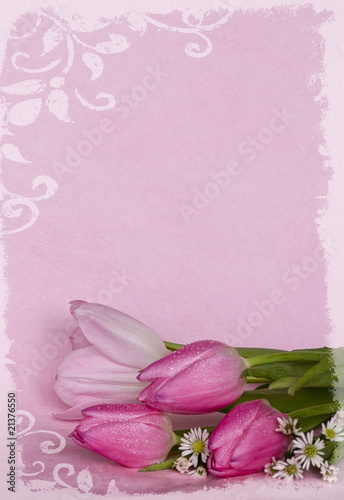 Tulpen mit Illustration