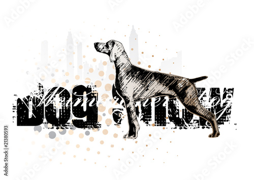 dog show 1