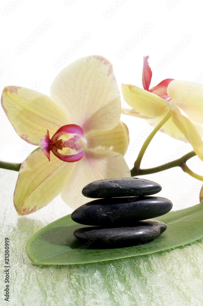 Stones massage with flowers Spa concept Stones massage with flowers Spa concept