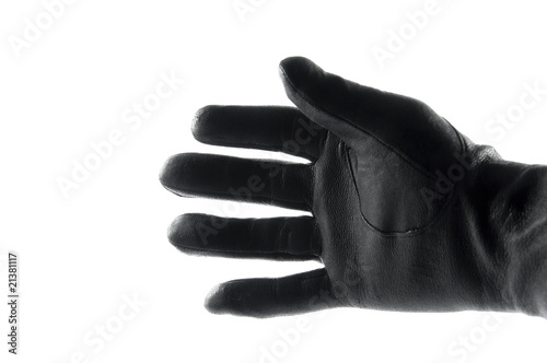 Lederhandschuhe photo