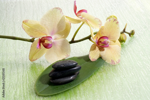 Stones massage with flowers Spa concept