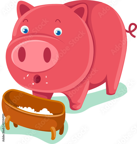 pig