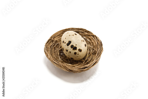 egg and nest