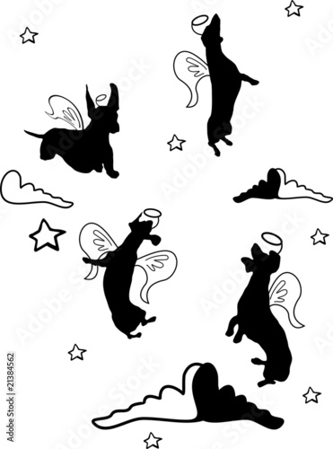 Dogs in clouds