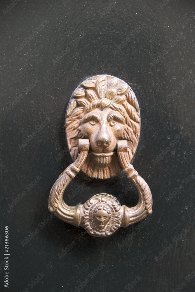 Doorknocker shaped like a lion's head