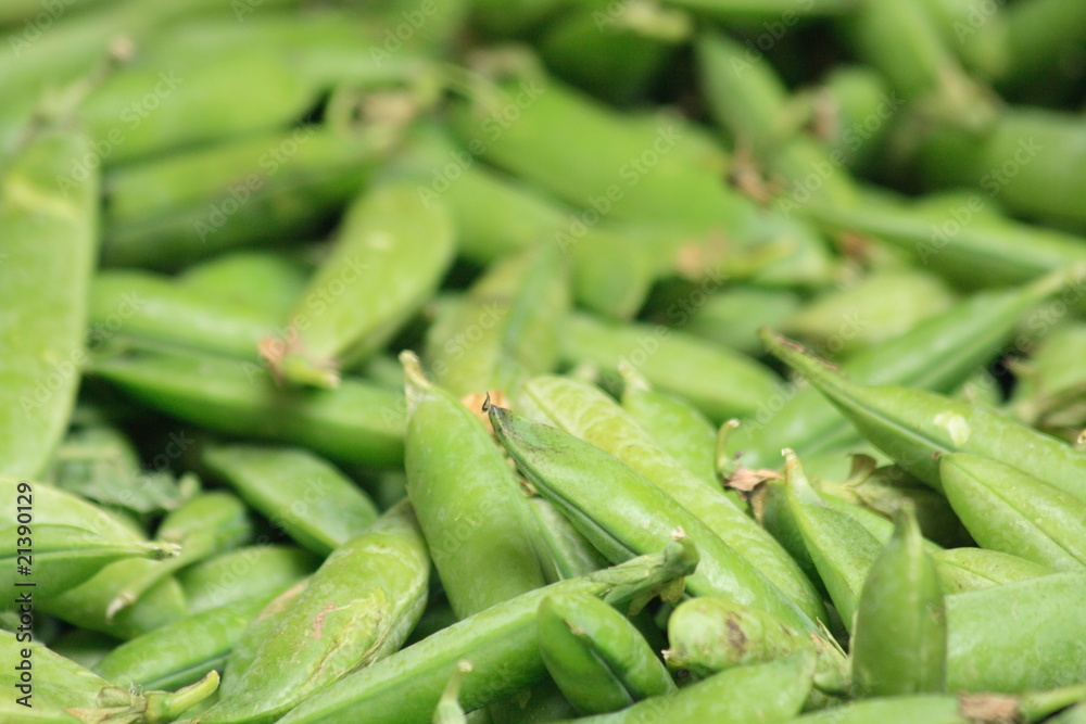 pea background pea background