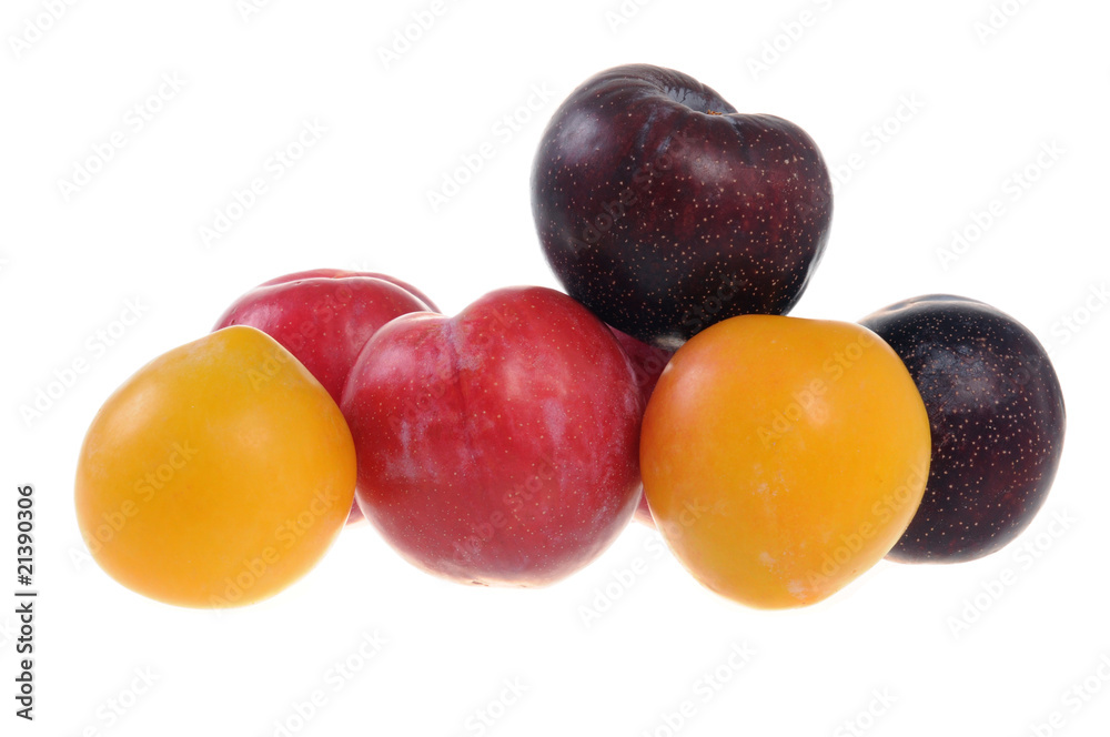 Colorful plums isolated on white background Colorful plums isolated on white background