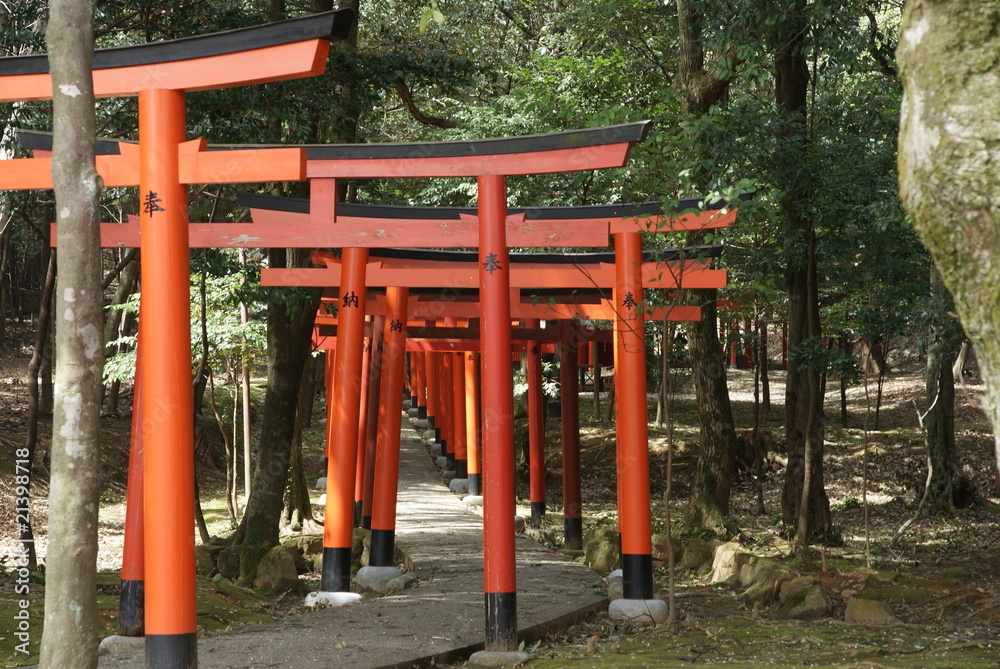 Torii gate