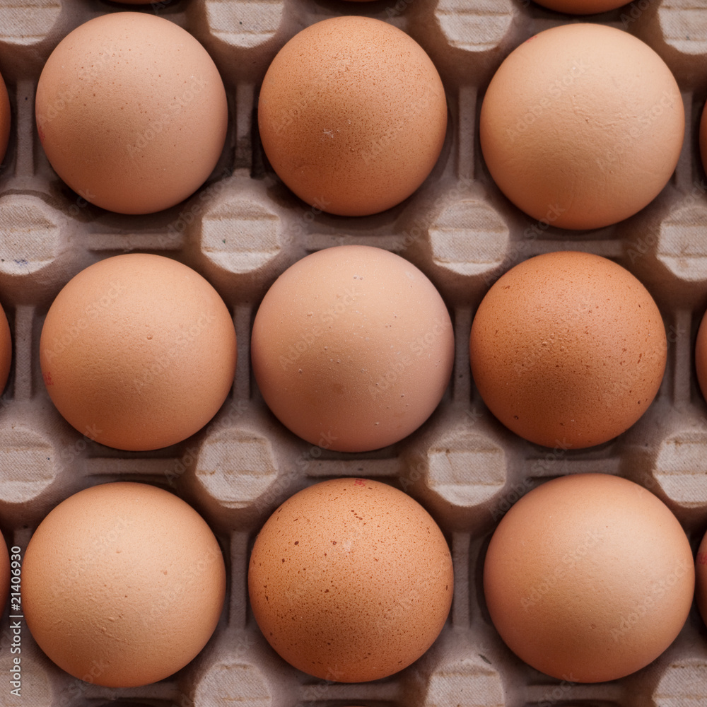 Oeufs Oeufs